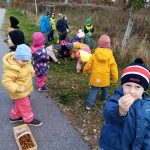 img_20221109_103218