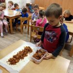 img_20221115_095512