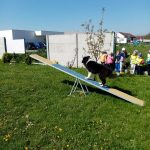 img_20230509_100806