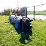 img_20230509_102744