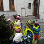 img_20231207_085526