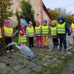 img_20241023_102620