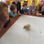 img_20241111_094755