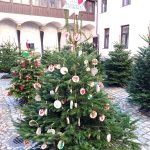 img_20241205_094458