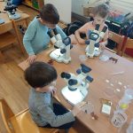 img_20250220_100957