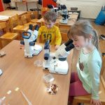 img_20250220_101630
