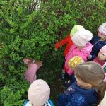 img_20250415_093537