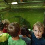 img_20260603_102423