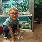 img_20260603_103350