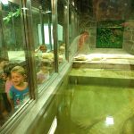 img_20260603_103810