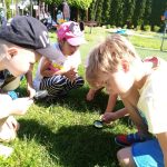 vyukovy-program-louka-5